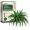 Set of 2 Boston Fern Plants 60 Silk Fronds, 48" Wide | UV Resistant Décor | Floral Home®